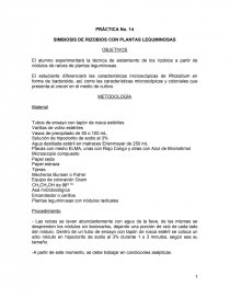 SIMBIOSIS DE RIZOBIOS CON PLANTAS LEGUMINOSAS. Página 1