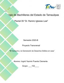 Proyecto tranversal. Página 1