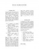 BIO WASTE – DESARROLLO SOSTENIBLE