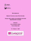 Ensayo sobre análisis mercadológico de tienda departamental: Liverpool