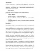 TIPOS DE DIAGNOSTICO