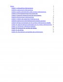 CFGS de Comerç Internacional