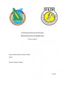 Ensayo "Preparación física enfocado en la resistencia"