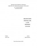 Biologia. Mi descripción de la situación ambiental de mi zona donde vivo (villa Brasil)