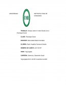 Gerencia y Desarrollo Social