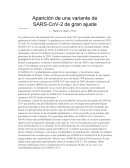 Aparición de una variante de SARS-CoV-2 de gran ajuste