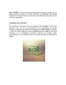 Propuesta de marketing KALI SUITES