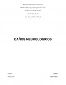 Daños neurológicos