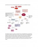 Características del Proceso Unificado Rational RUP su relación con el modelado de negocio