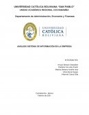 ANÁLISIS SISTEMA DE INFORMACIÓN EN LA EMPRESA