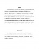 Complejidad de los Paisajes Geográficos