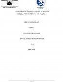 DIBS, EN BUSCA DEL YO