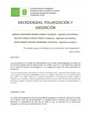 MICROONDAS: POLARIZACIÓN Y ABSORCIÓN