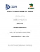 CONCEPTOS DE PRODUCTIVIDAD