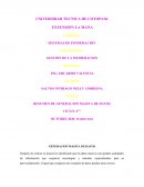 RESUMEN DE GENERACION MASIVA DE DATOS