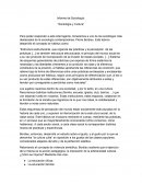 SOCIOLOGIA Y CULTURA