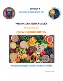 LA IMPORTANCIA DE LA BIOQUIMICA EN LA MEDICINA