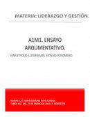 Ensayo argumentativo referente a un líder. Liderazgo y gestión
