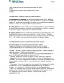 Actividad 1 Cuidado DEL Cuerpo Humano