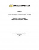 TIPOS DE ESTRUCTURAS ORGANIZACIONALES - LIDERAZGO