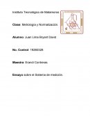 Ensayo sobre el sistema de medición