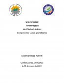 Componentes y usos gramaticales