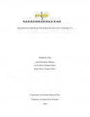 REGISTRO DE OBSERVACIÒN-DEMANDA REAL DE UN PRODUCTO