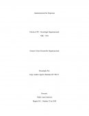 Ensayo Crítico Desarrollo Organizacional