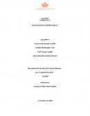 INFORME DIAGNOSTICO DIVISION DE PLANEACION Y SISTEMAS