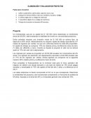 ELABORACIÓN Y EVALUACIÓN DE PROYECTOS
