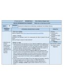 PLANEACIÓN TECNOLOGIA (CULTURA TECNOLOGICA)