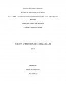 Formas y métodos de lucha armada