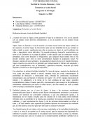 TALLER ESTRUCTURA Y ACCION SOCIAL