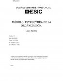 MÓDULO: ESTRUCTURA DE LA ORGANIZACIÓN. Caso: Spotify