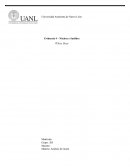 Una mujer despierta sin recuerdos en un pueblo controlado por la tecnología y un terrible acontecimiento