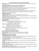 ¿Quién es el lider y que habilidades necesita?