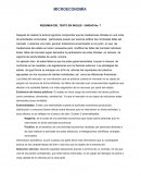RESUMEN DEL TEXTO EN INGLES - UNIDAD No. 7