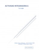 Actividad Integradora. La caja