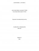 PLANEACIÓN Y ORGANIZACIÓN. NRC 5231