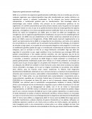 Organismos genéticamente modificados