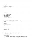 Diagnostico empresarial por competencias