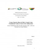 Crema Natural a Base de Miel y Canela Como Tratamiento Contra el Acné en los Adolescentes