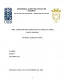 LINEAMIENTOS ELEMENTALES DE DERECHO PENAL