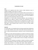 Comenzando con la paz