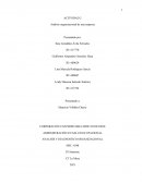 Análisis organizacional de una empresa