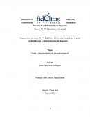 Tarea 1. Resumen ejecutivo y mapa conceptual