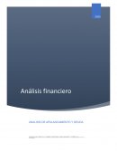 Administración Financiera América Móvil