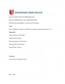 Plan de Seguridad y Salud en el trabajo de la Empresa Cementos Pacasmayo S.A.A