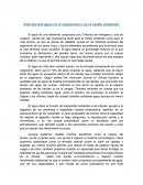Función del agua en el organismo y en el medio ambiente