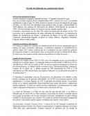 Vivendi: Revitalizando un conglomerado francés